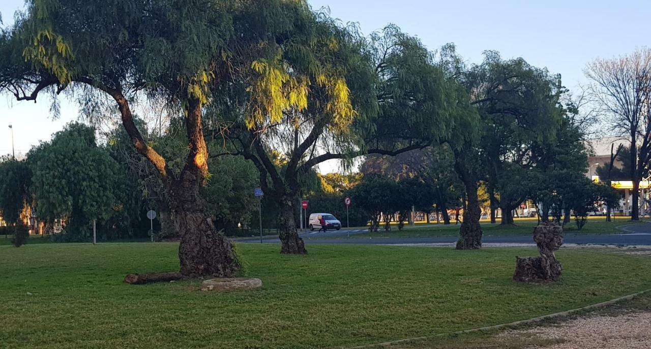 Apartamento Frente A Palacio De Congresos Seville Luaran gambar